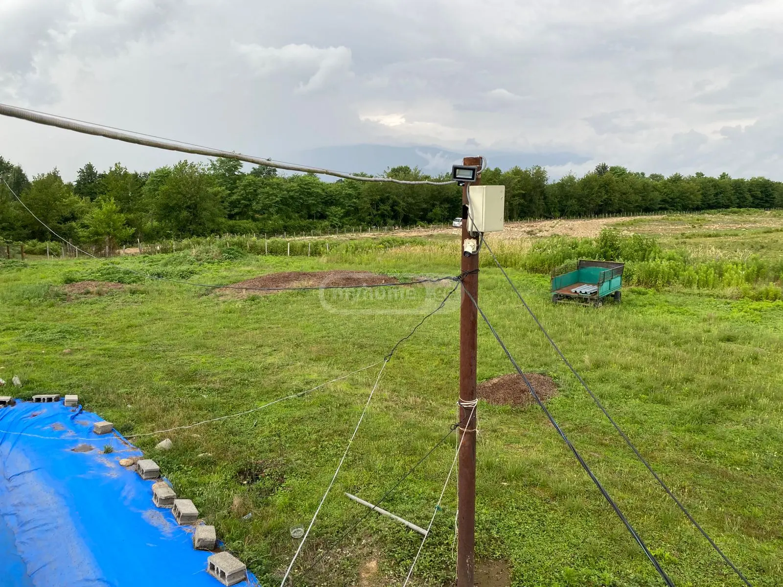 Agricultural Plot For Sale In Zugdidi view 7