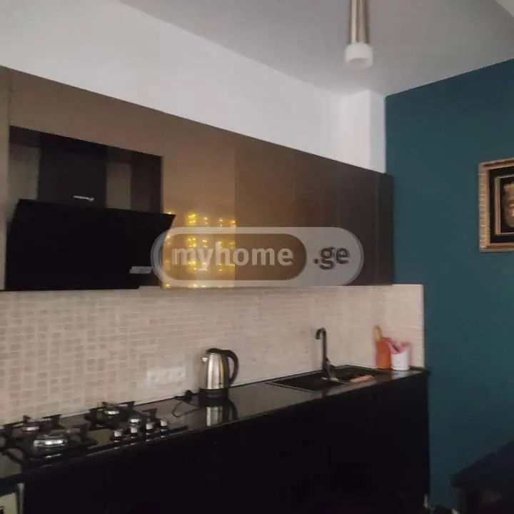 4 Room Country House Daily Rent In Tsemi, In Borjomi Municipality view 8