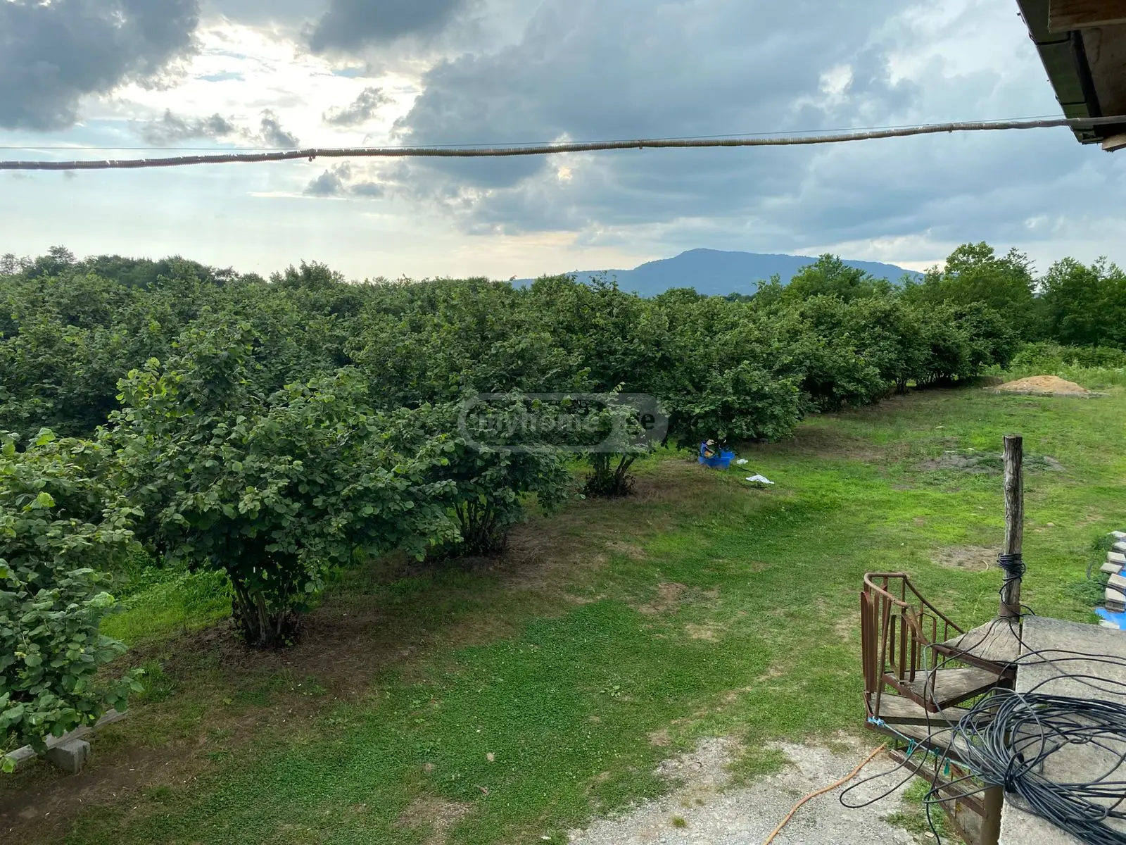 Agricultural Plot For Sale In Zugdidi view 9