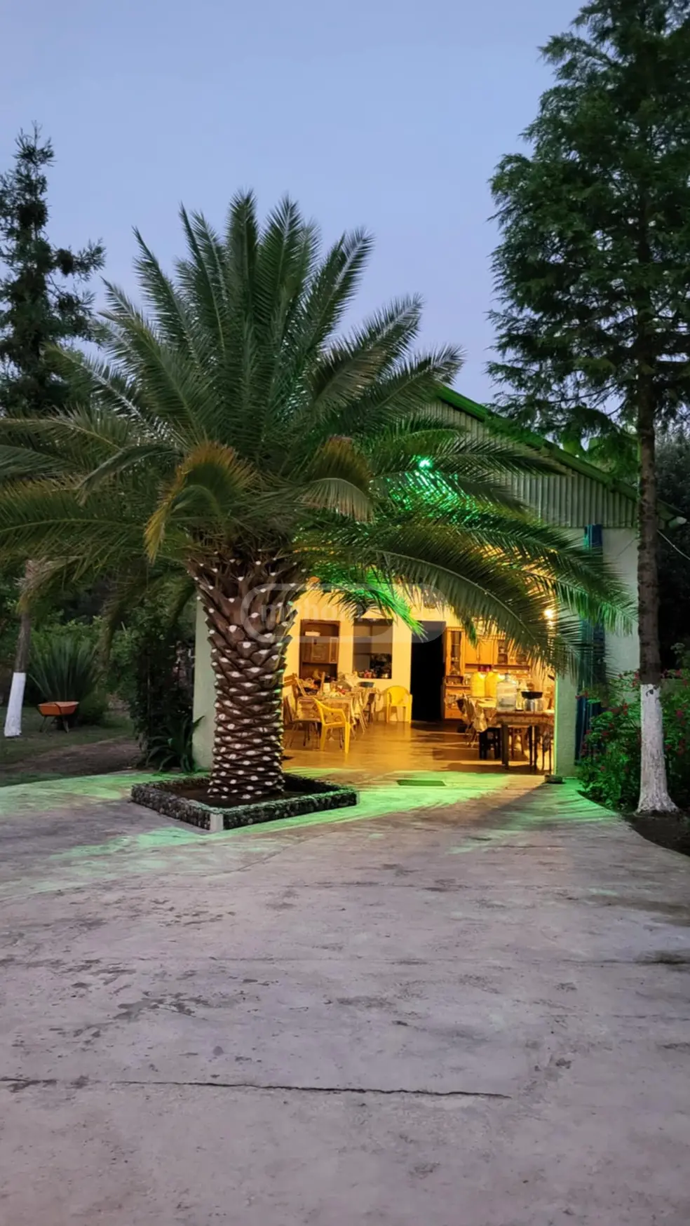 10+ Room Hotel Daily Rent In Ureki, In Ozurgeti Municipality view 3