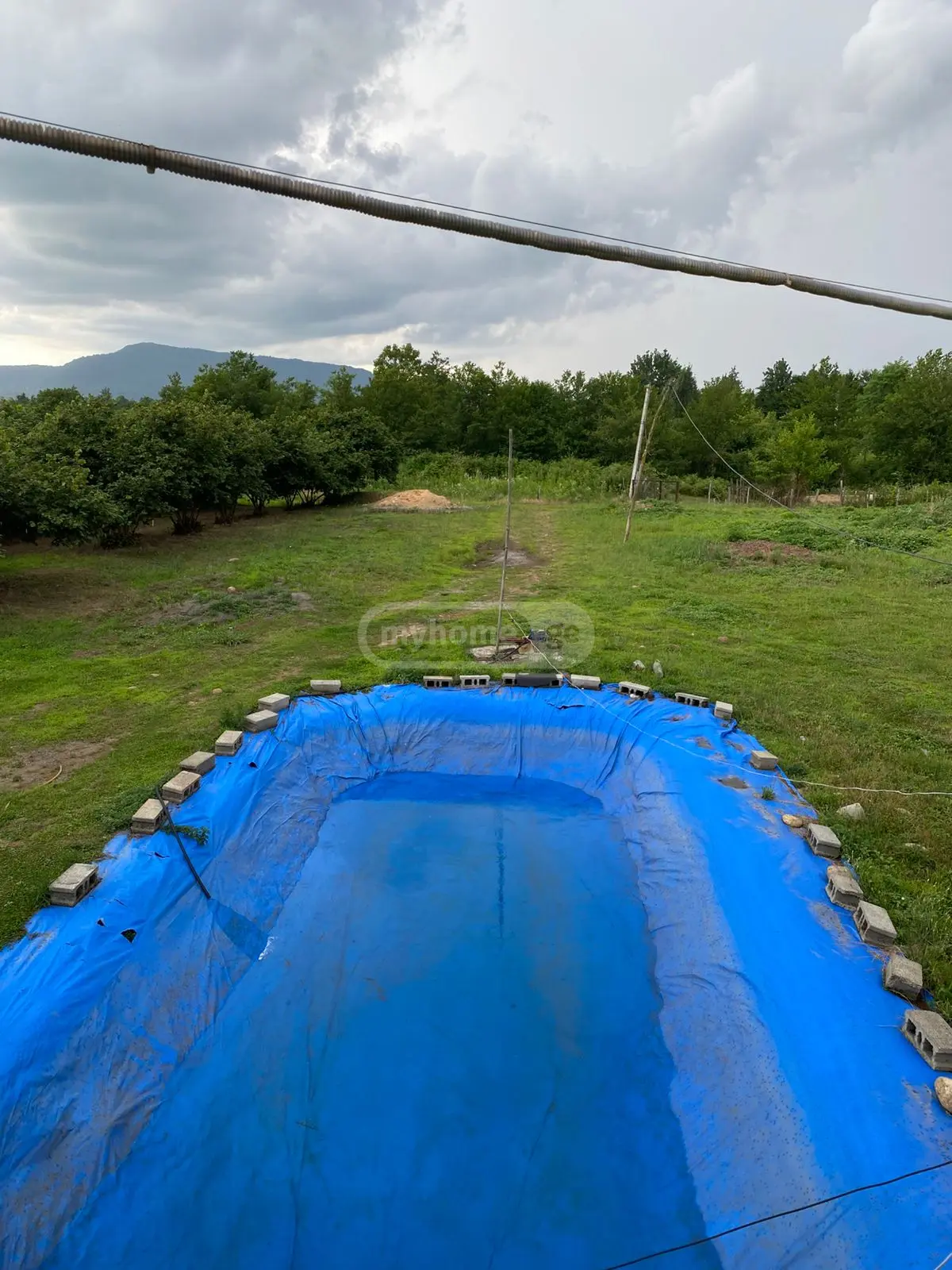 Agricultural Plot For Sale In Zugdidi view 8