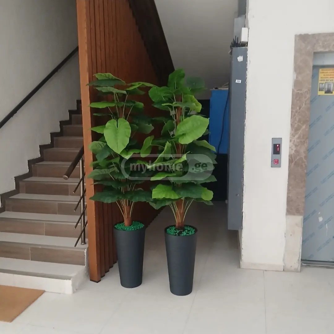 3 Room Apartment Daily Rent Javakhishvilis Ubani, In Batumi view 15