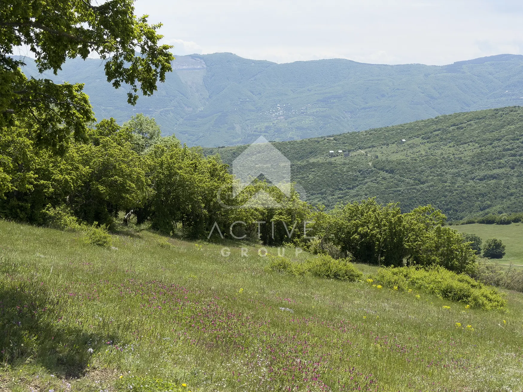 Non-Agricultural Plot For Sale In Vake view 9