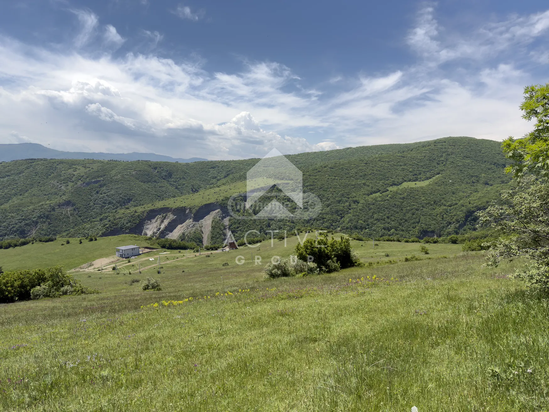 Non-Agricultural Plot For Sale In Vake view 5