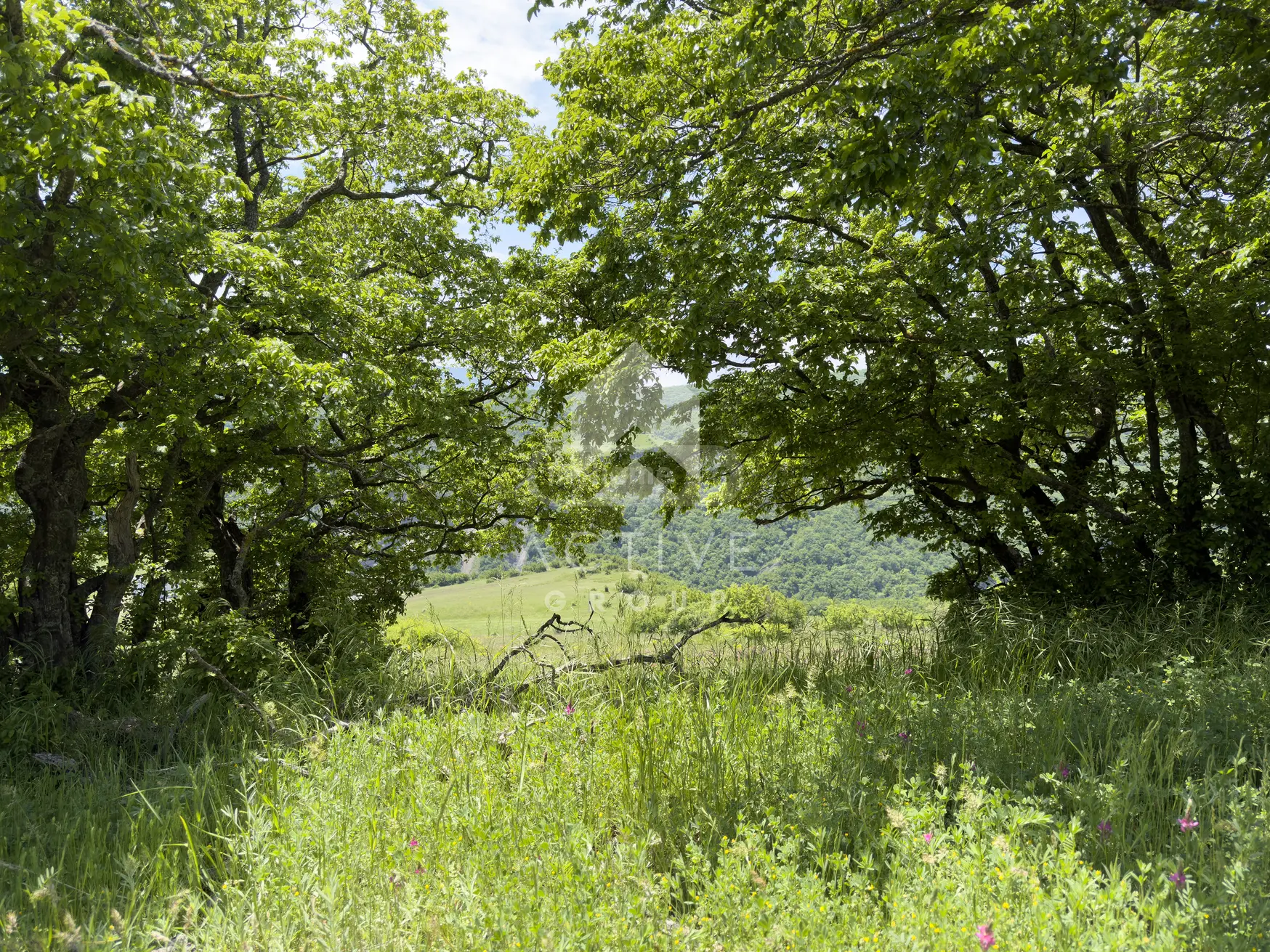 Non-Agricultural Plot For Sale In Vake view 8