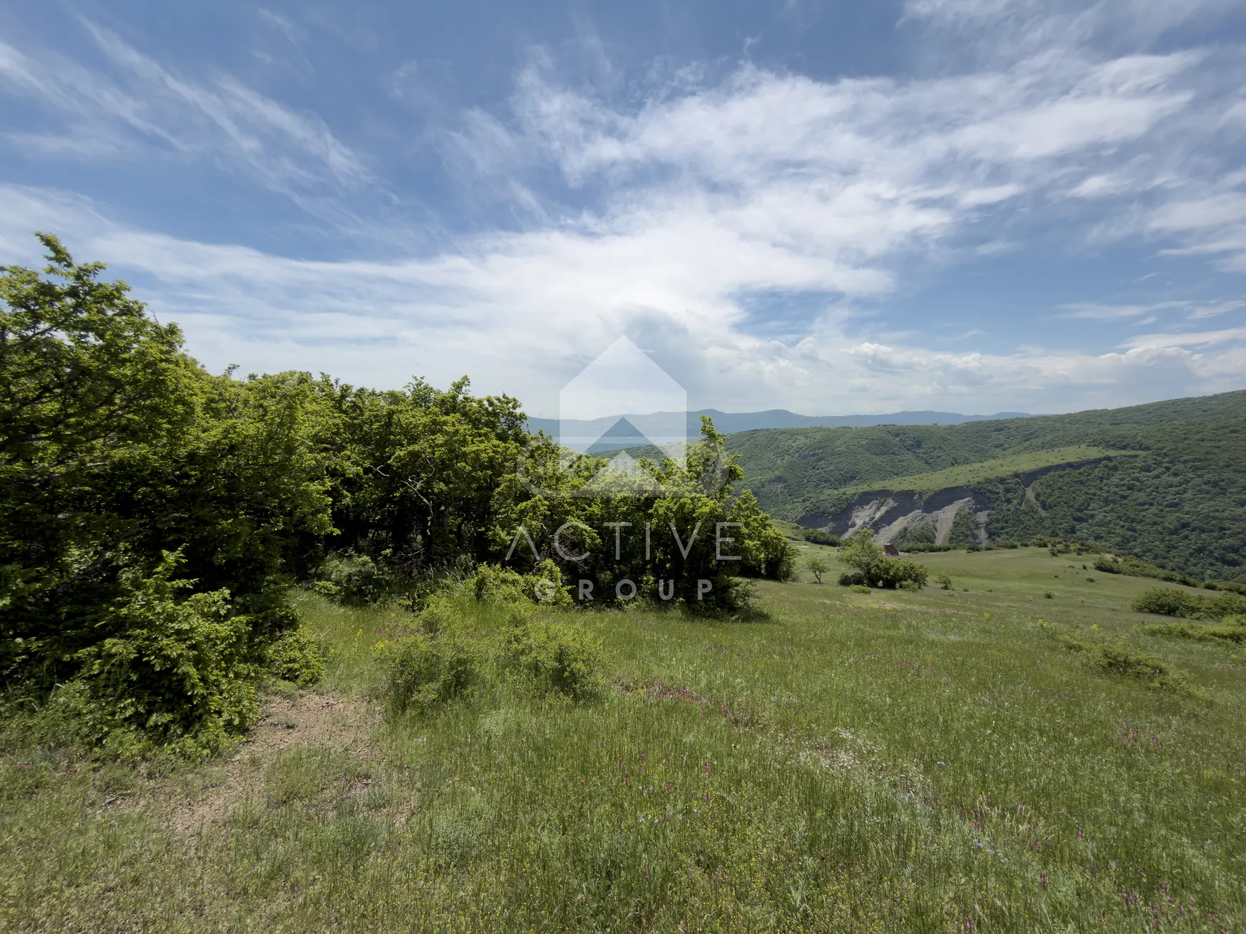 Non-Agricultural Plot For Sale In Vake view 6