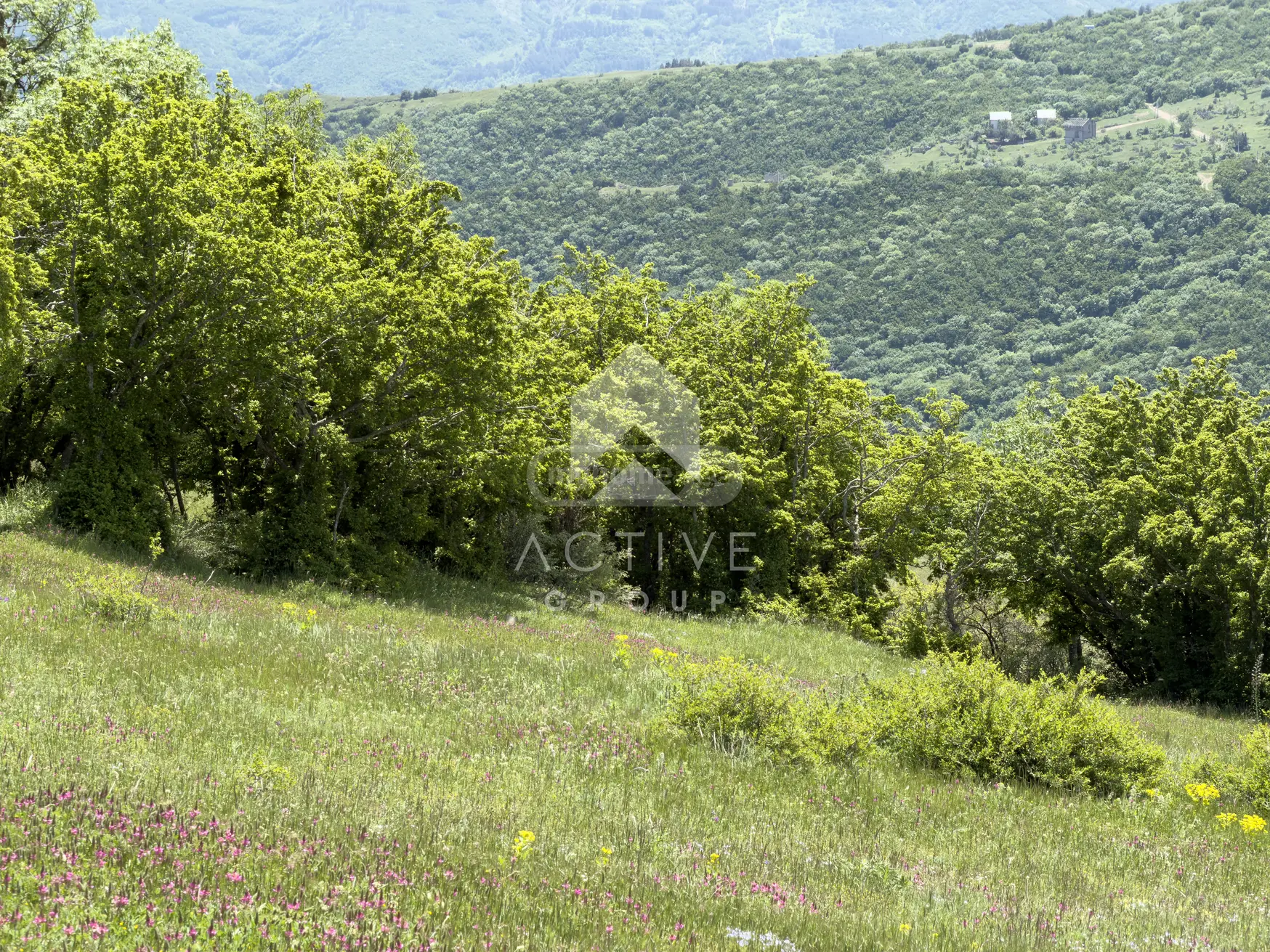 Non-Agricultural Plot For Sale In Vake view 10