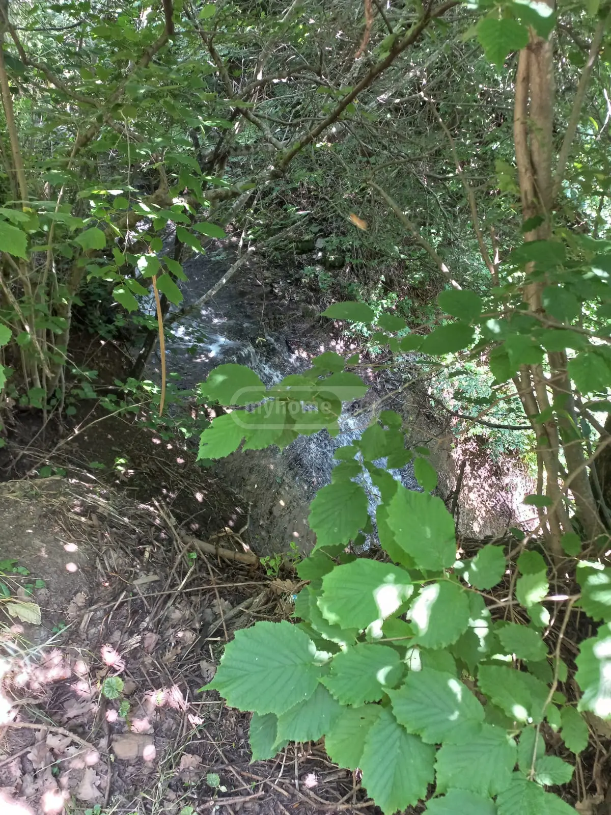 Investment / For Construction Plot For Sale In Tsavkisi view 7