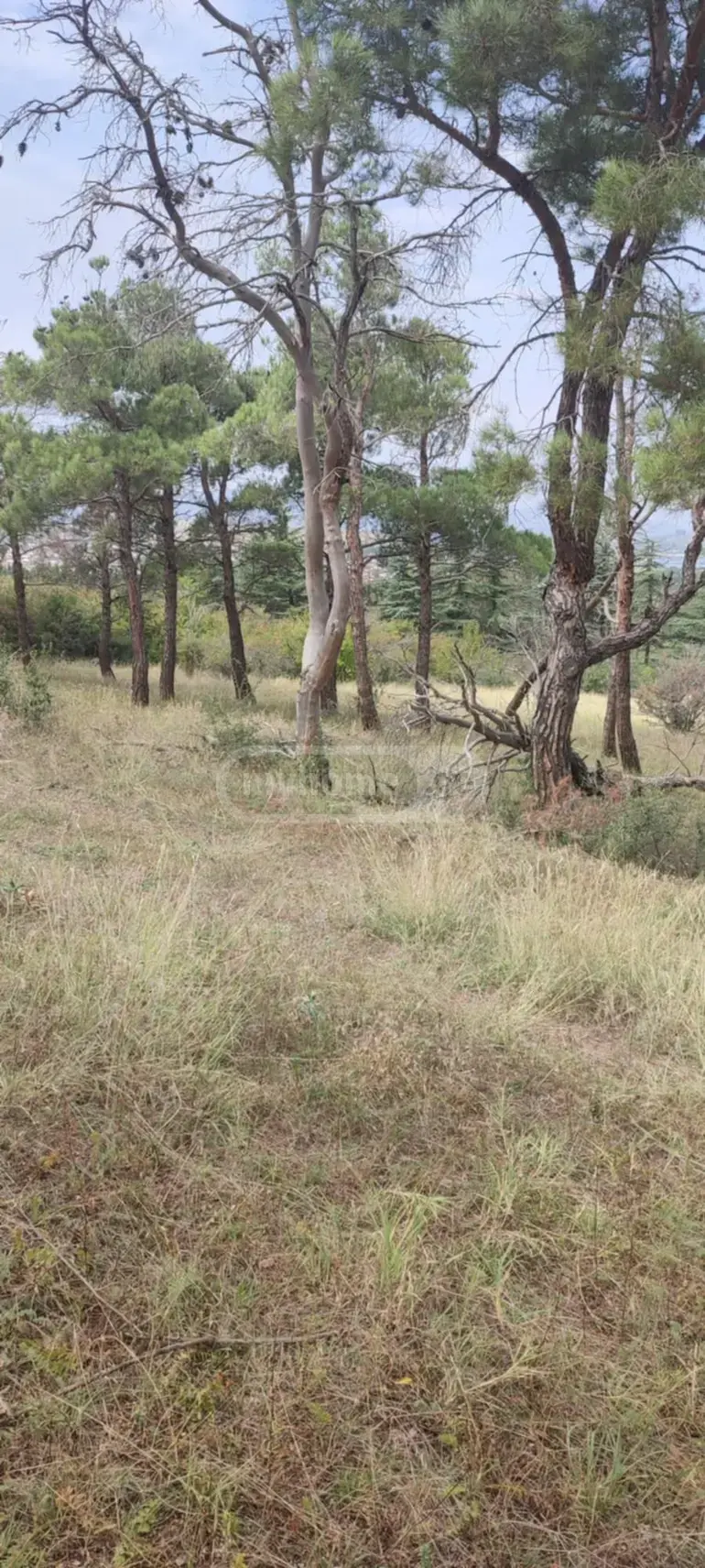 Investment / For Construction Plot For Sale In Tbilisi Sea view 1