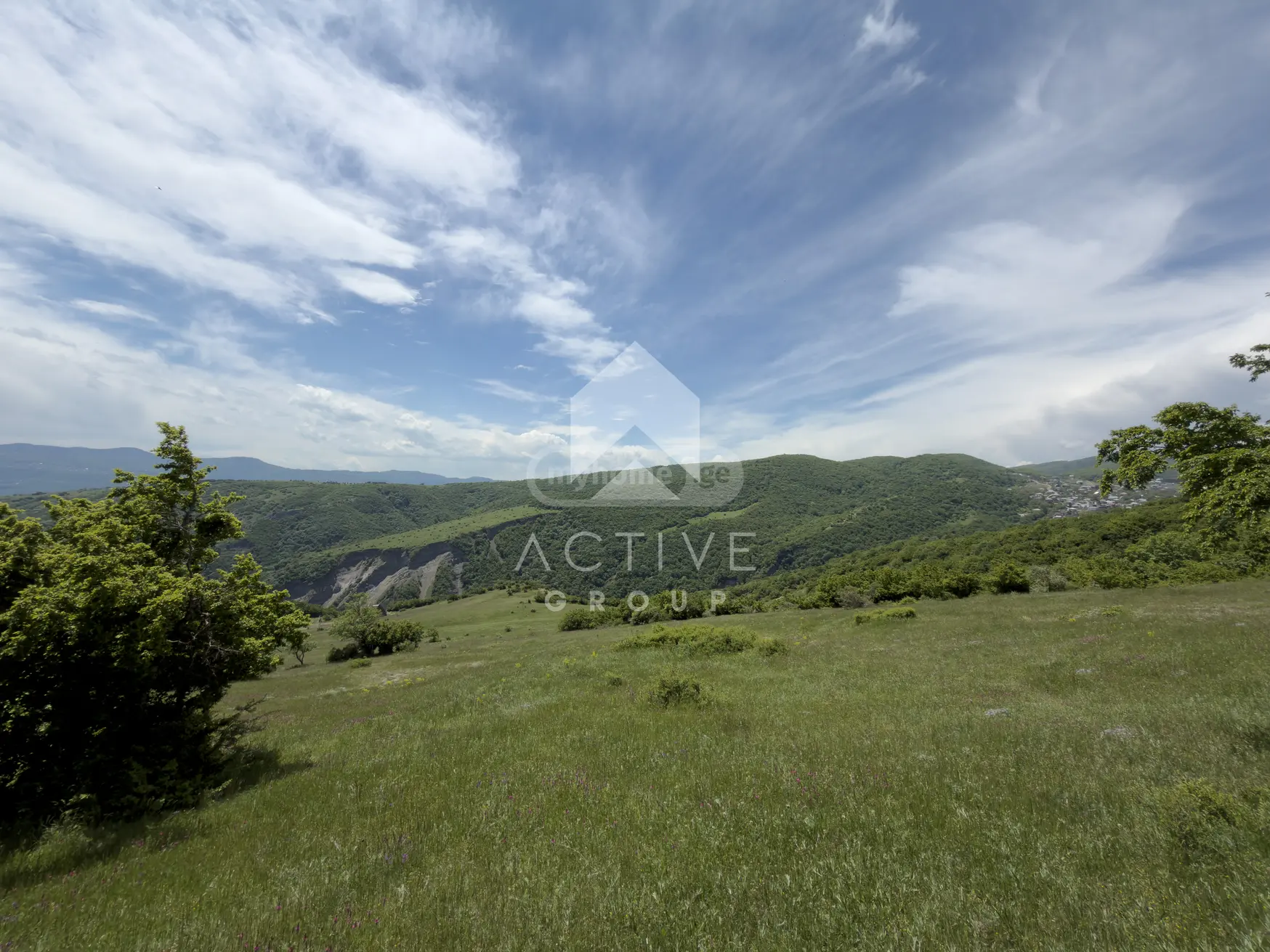 Non-Agricultural Plot For Sale In Vake view 3