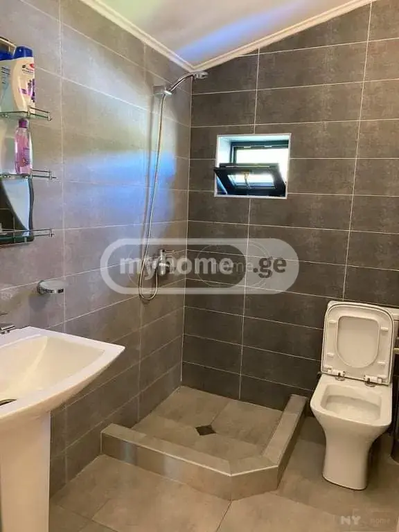 5 Room Country House For Rent In Bakuriani view 11