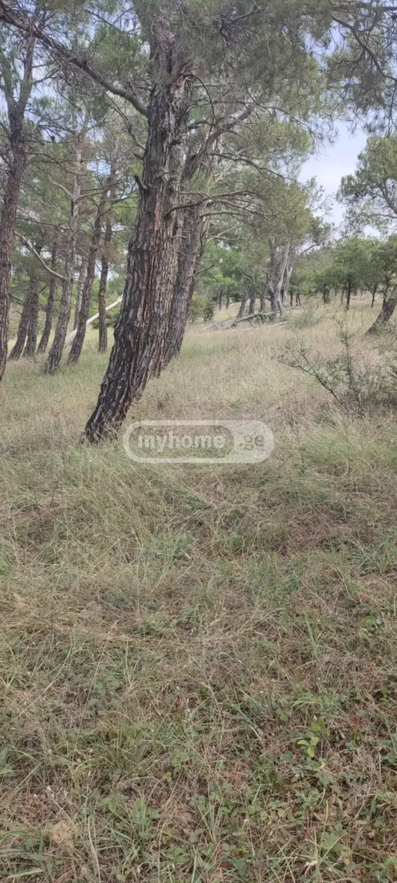Investment / For Construction Plot For Sale In Tbilisi Sea view 2