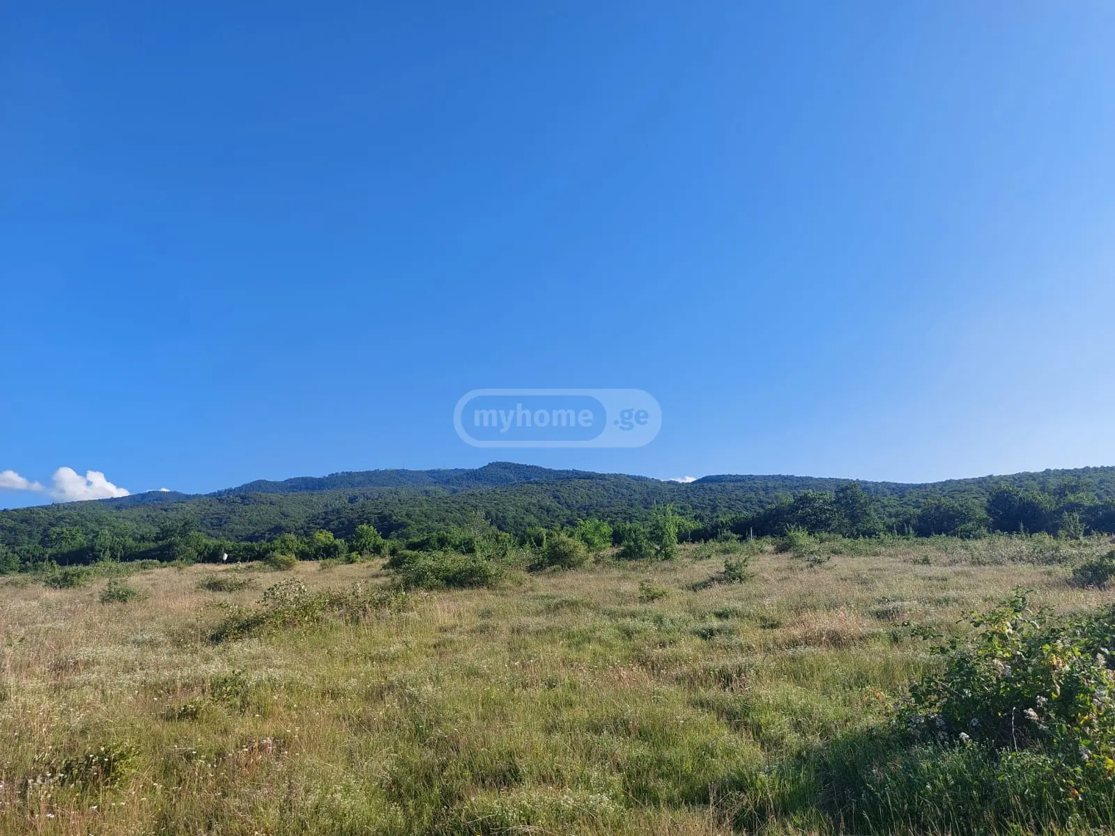 იყიდება Agricultural Plot In Vardisubani, In Telavi Municipalityში view 3