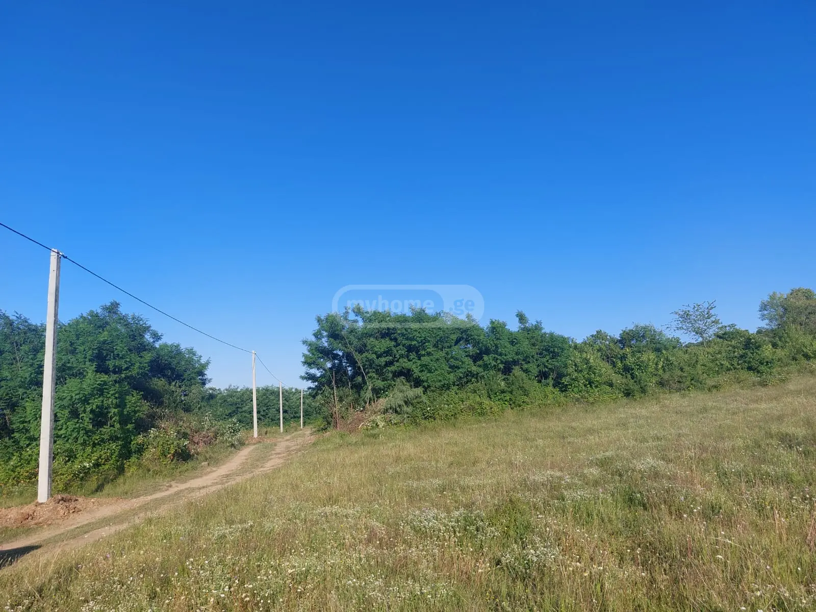 იყიდება Agricultural Plot In Vardisubani, In Telavi Municipalityში view 5