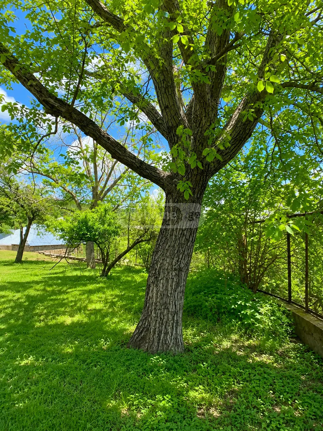 5 Room Country House For Sale view 9