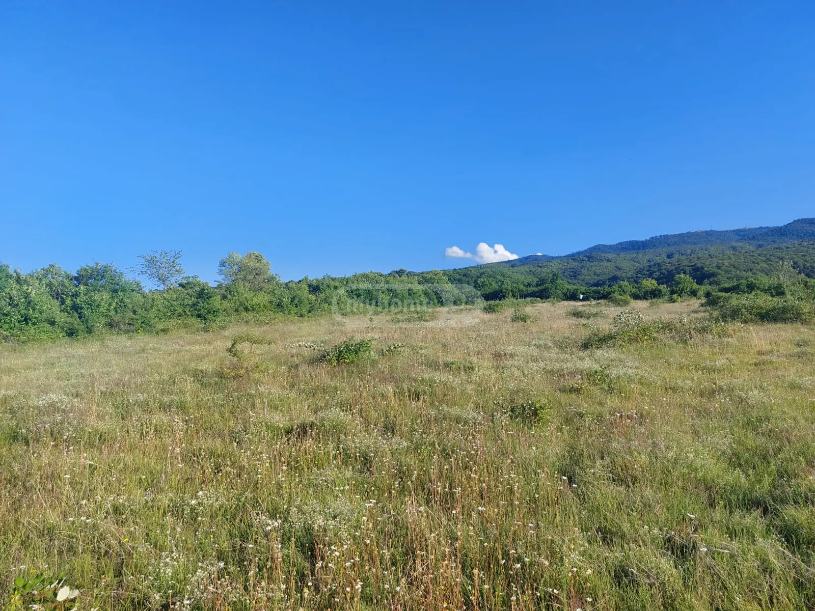 იყიდება Agricultural Plot In Vardisubani, In Telavi Municipalityში view 4