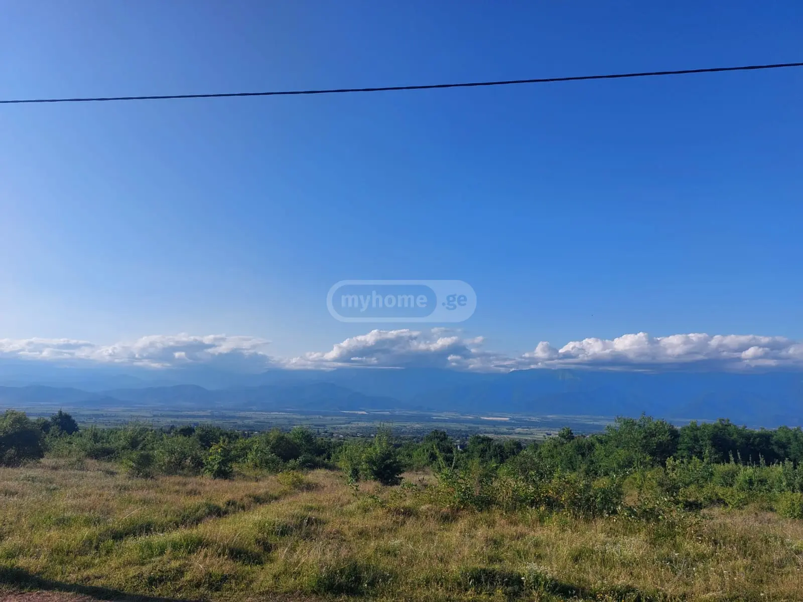 იყიდება Agricultural Plot In Vardisubani, In Telavi Municipalityში view 1