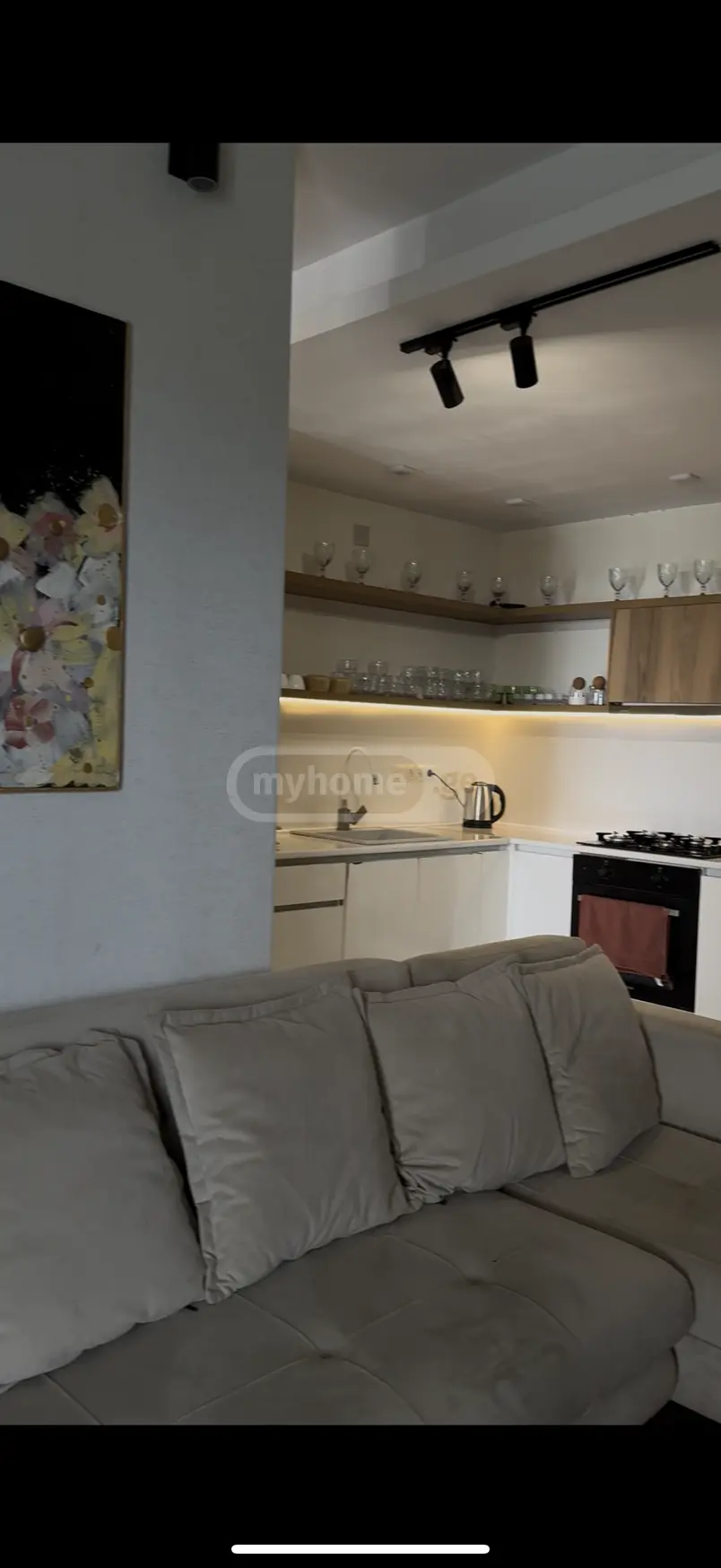 3 Room Private House Daily Rent In Rustavi view 12