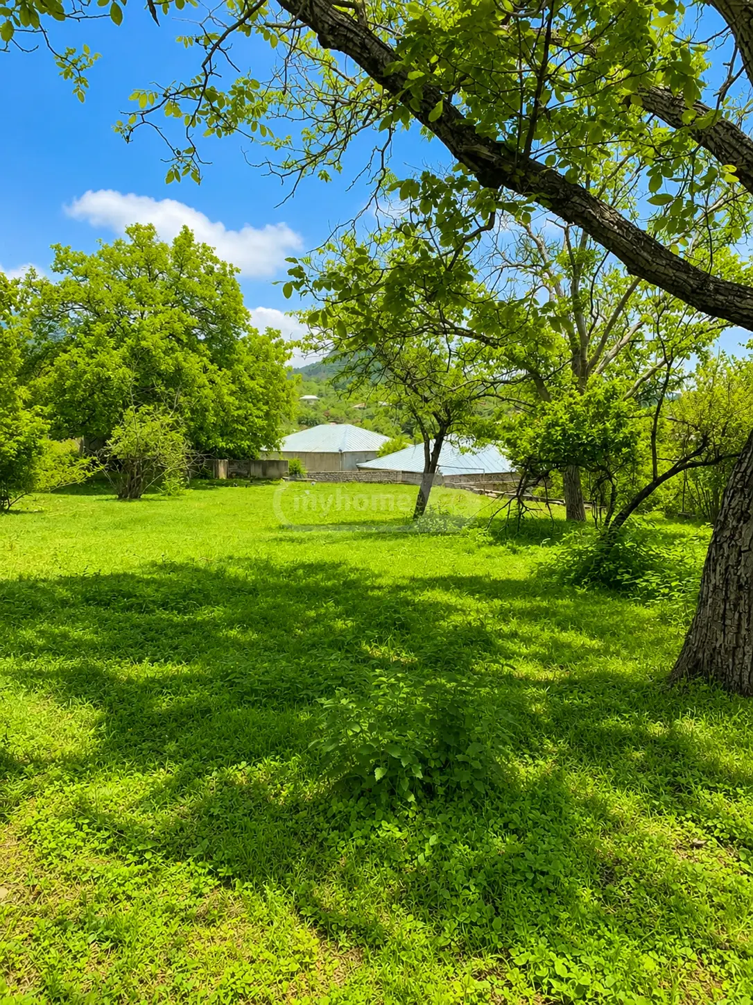 5 Room Country House For Sale view 4