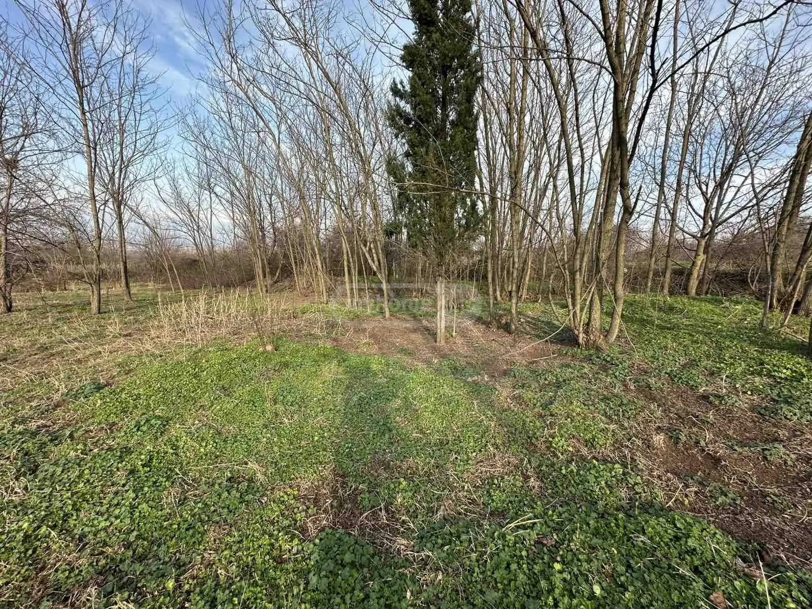 6 Room Private House For Sale view 12