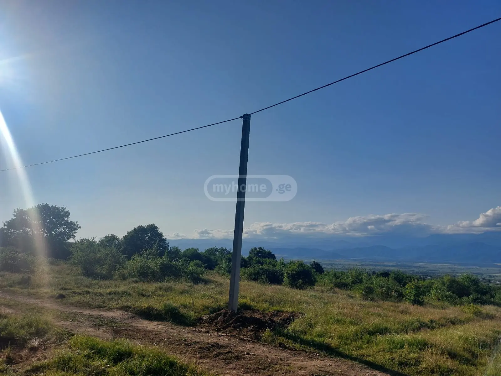 იყიდება Agricultural Plot In Vardisubani, In Telavi Municipalityში view 2
