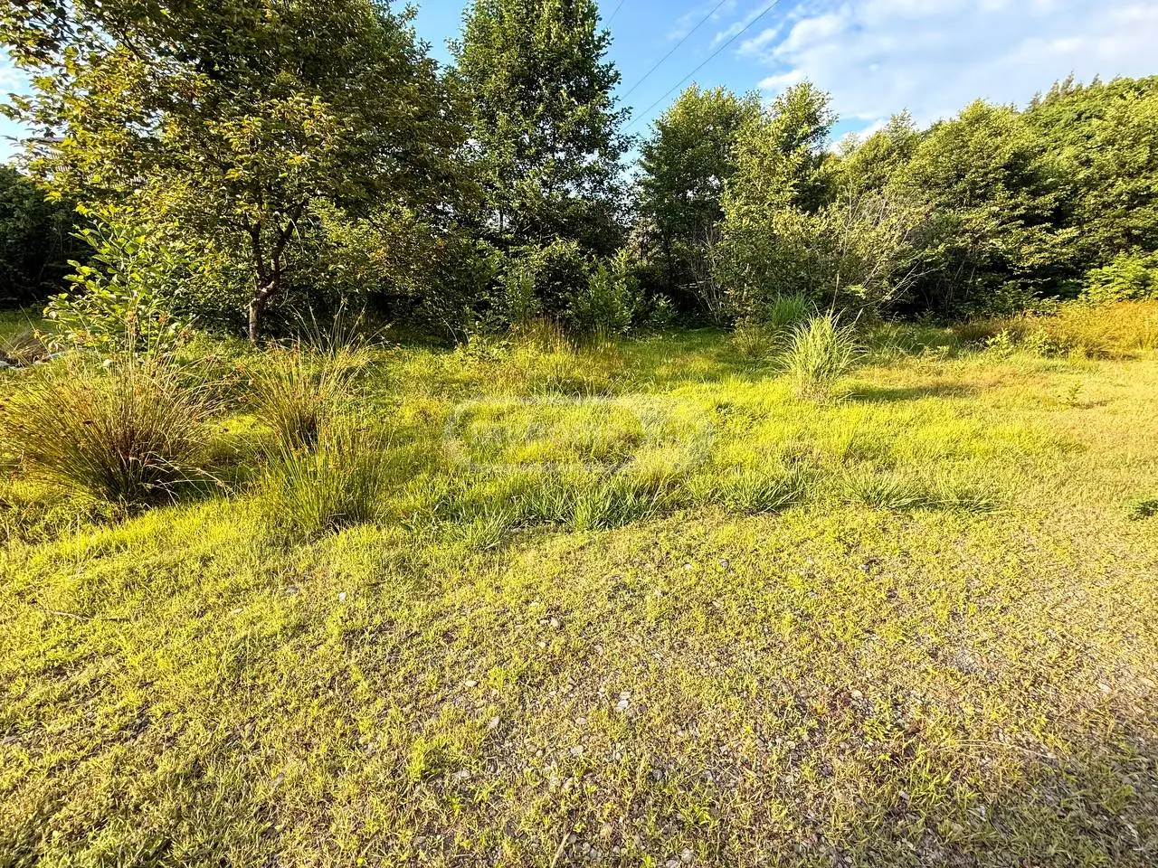 Non-Agricultural Plot For Sale In Tsikhisdziri, In Kobuleti Municipality view 1
