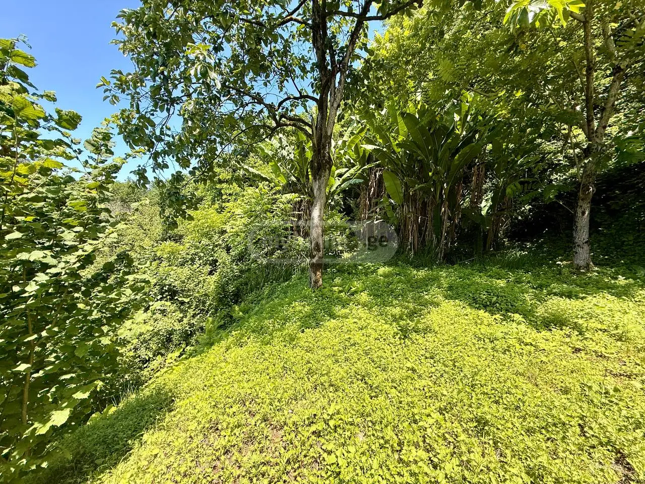 5 Room Private House For Sale view 9