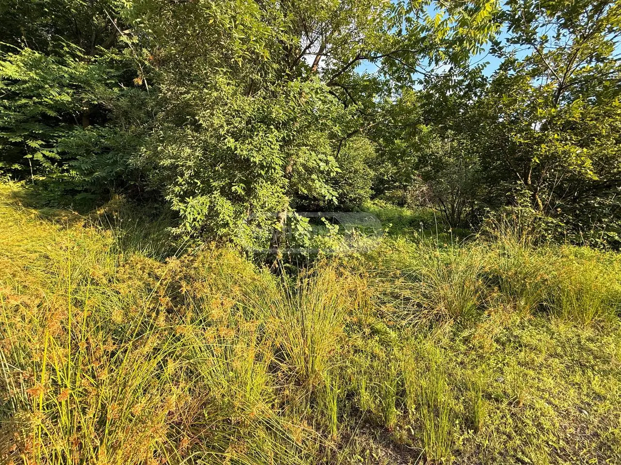 Non-Agricultural Plot For Sale In Tsikhisdziri, In Kobuleti Municipality view 3