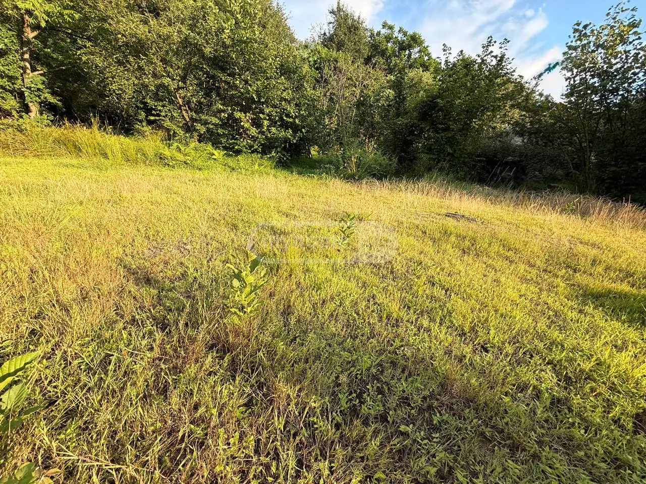 Non-Agricultural Plot For Sale In Tsikhisdziri, In Kobuleti Municipality view 2