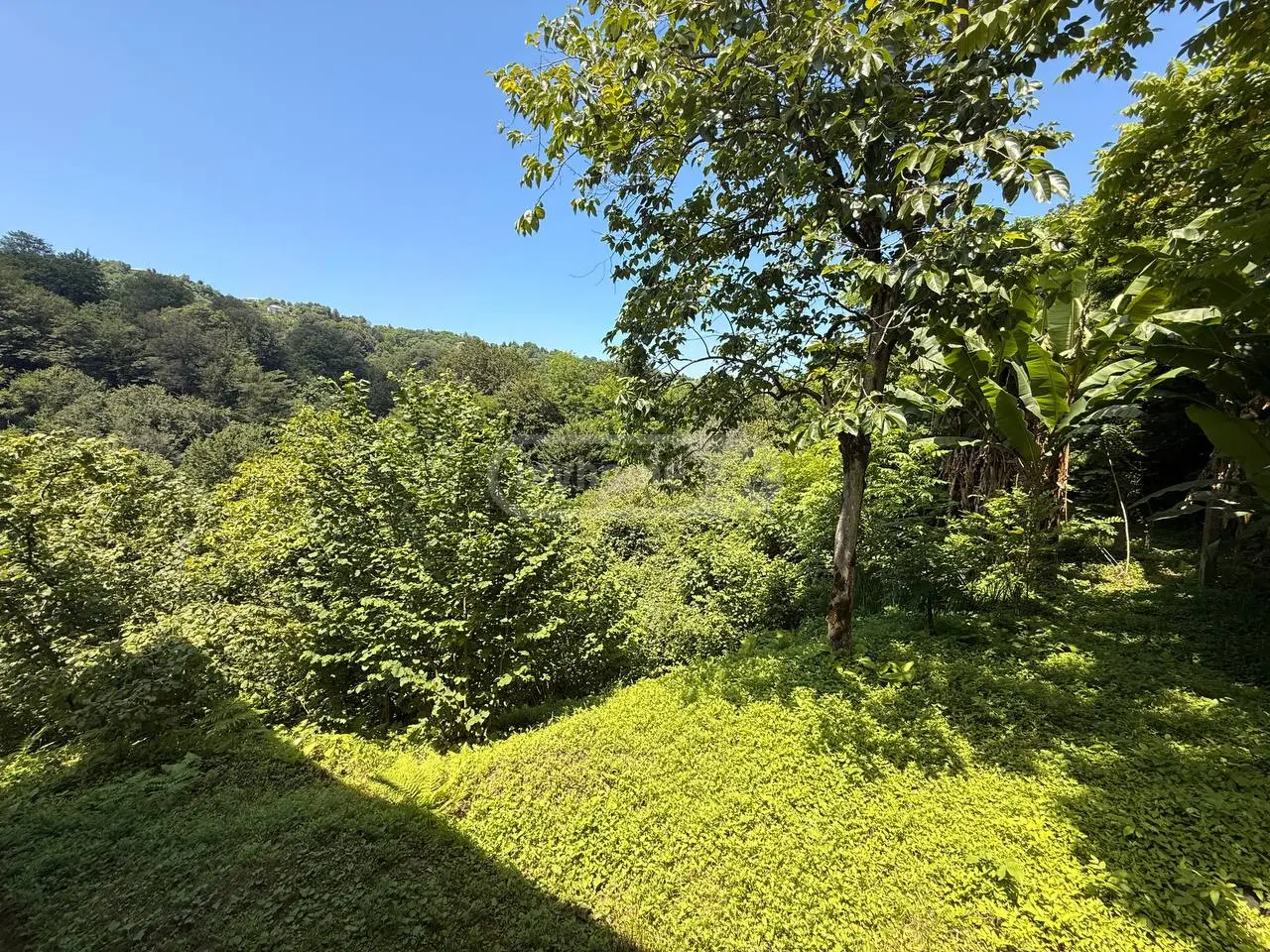 5 Room Private House For Sale view 7