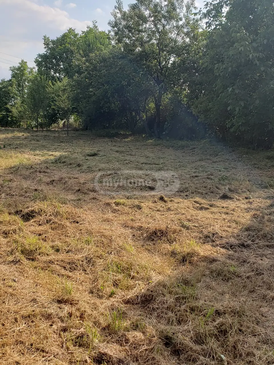 Agricultural Plot For Sale In Signagi view 11