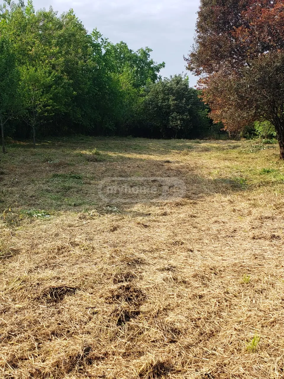 Agricultural Plot For Sale In Signagi view 6