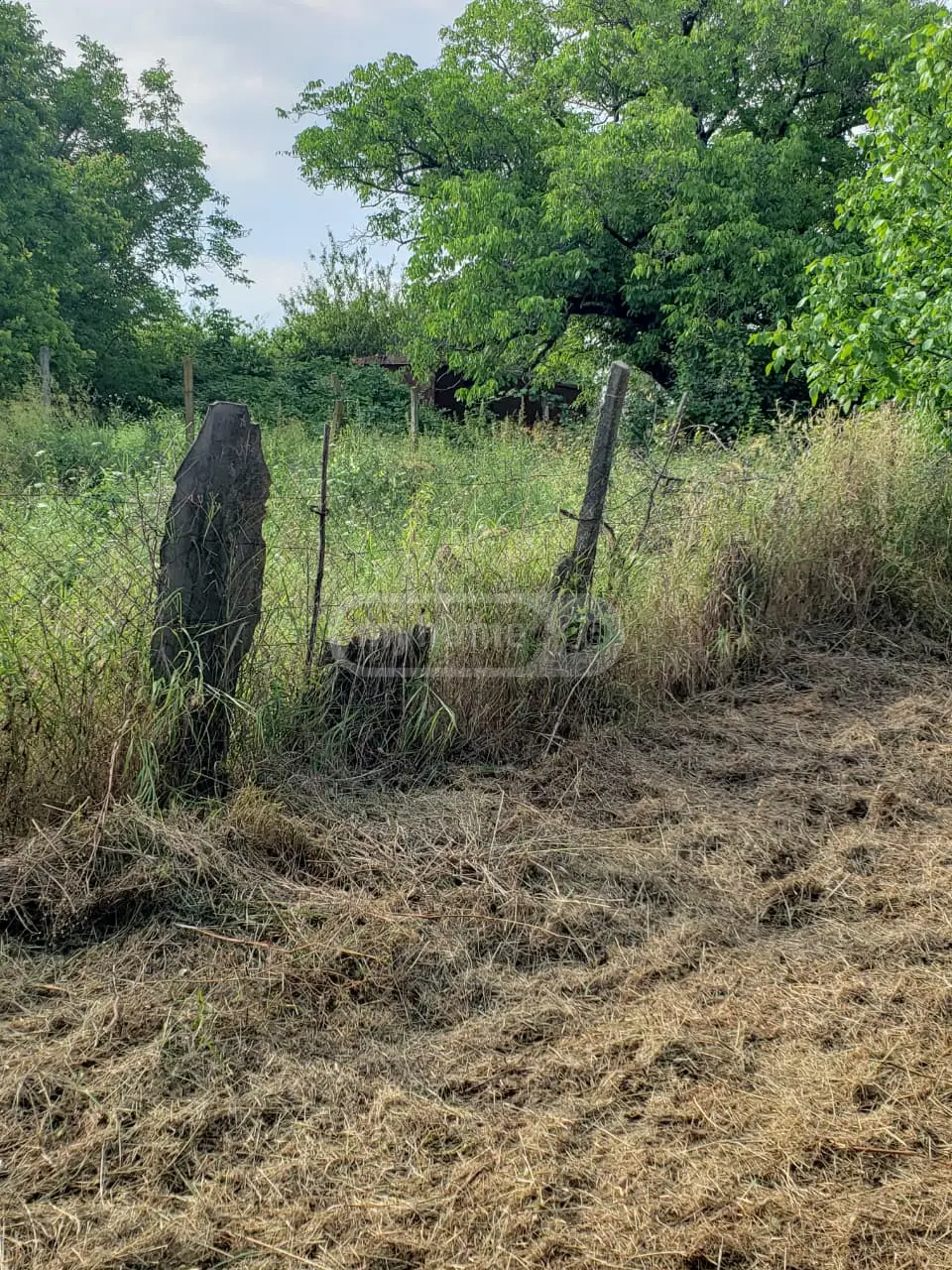Agricultural Plot For Sale In Signagi view 4