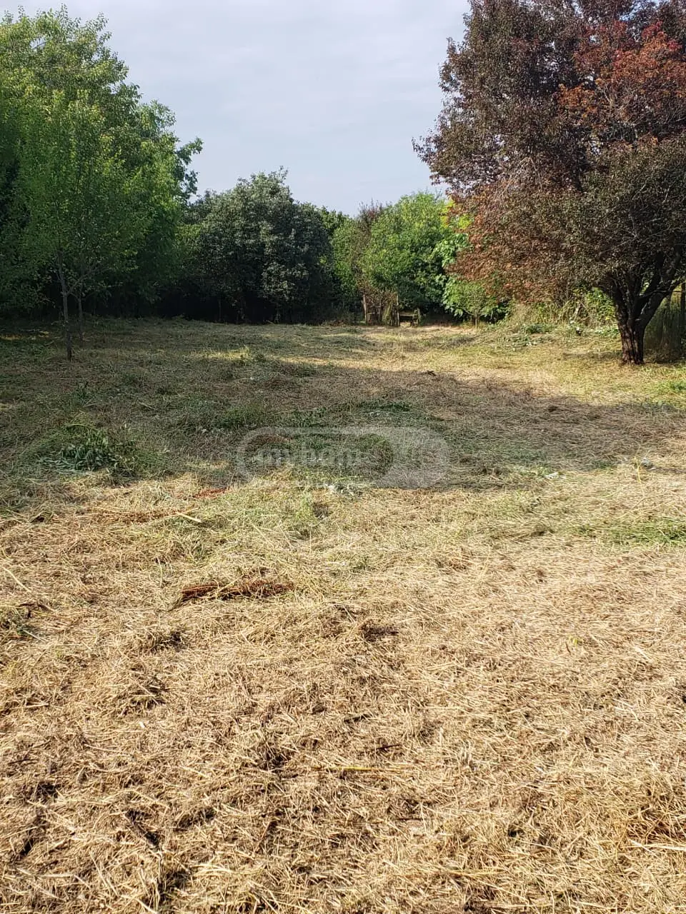 Agricultural Plot For Sale In Signagi view 7