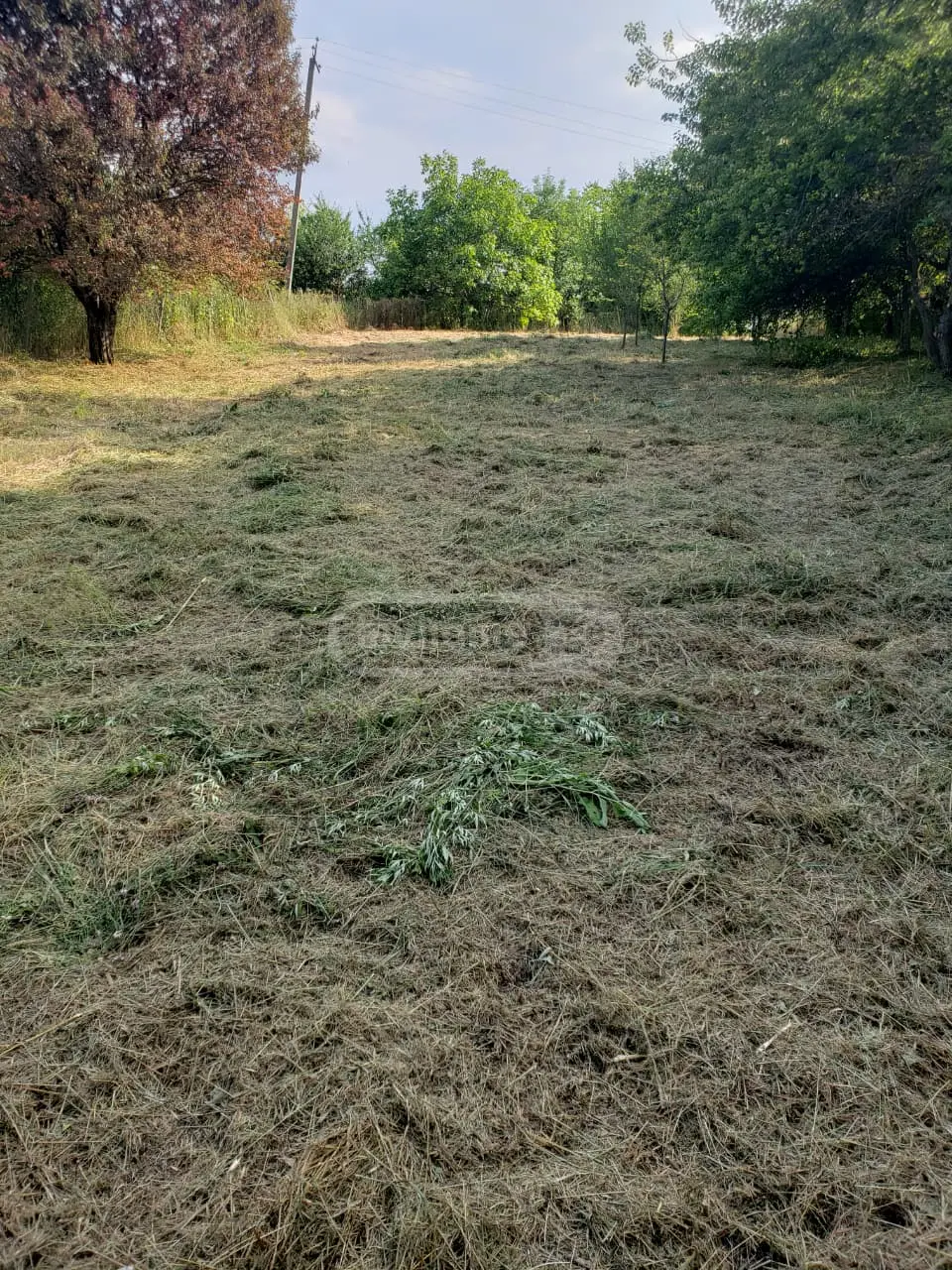 Agricultural Plot For Sale In Signagi view 3