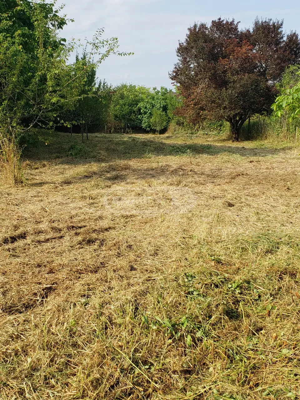 Agricultural Plot For Sale In Signagi view 5