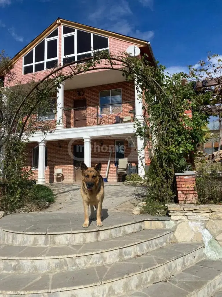 7 Room Country House For Rent In Martkopi, In Gardabani Municipality view 1