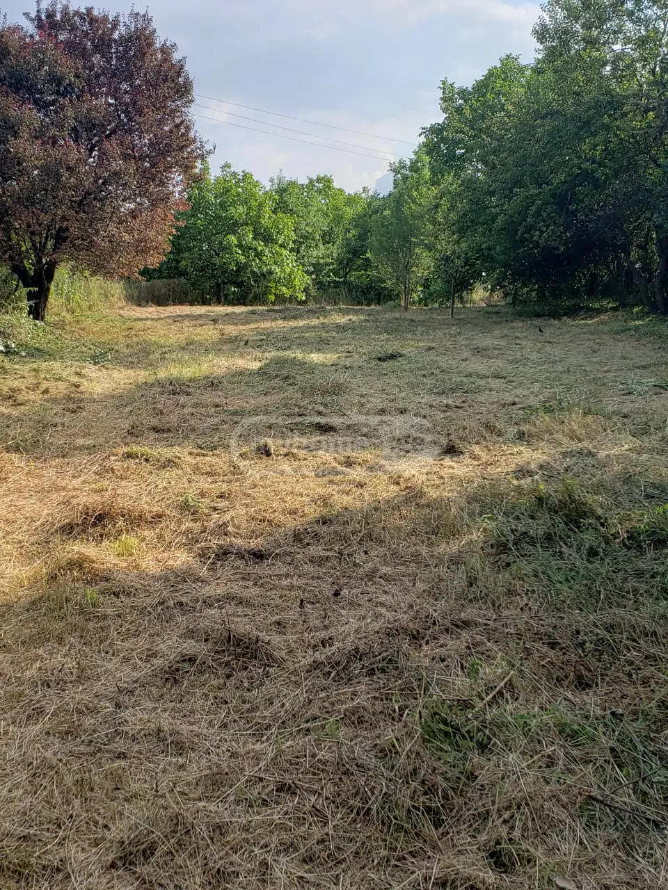 Agricultural Plot For Sale In Signagi view 13
