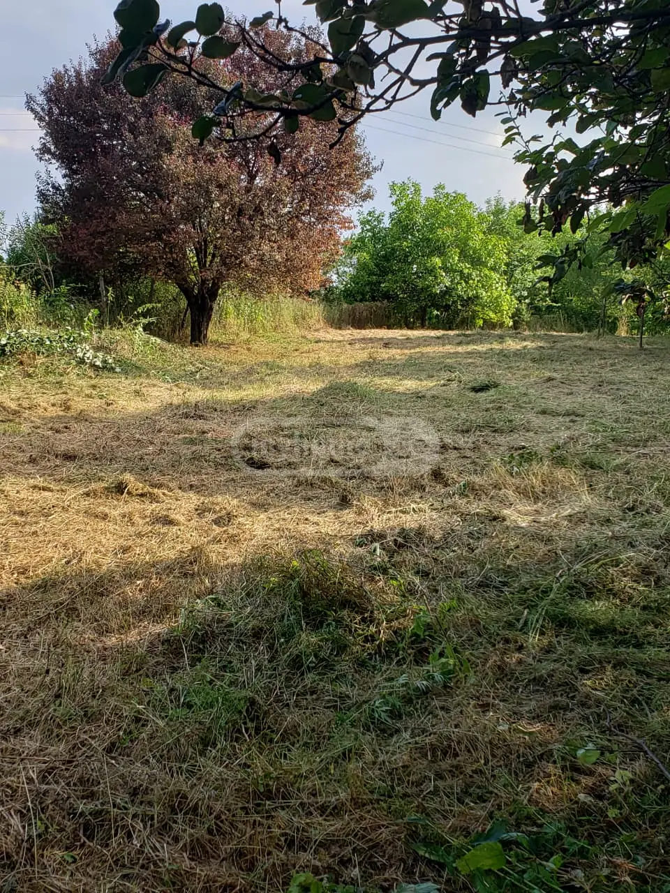 Agricultural Plot For Sale In Signagi view 8