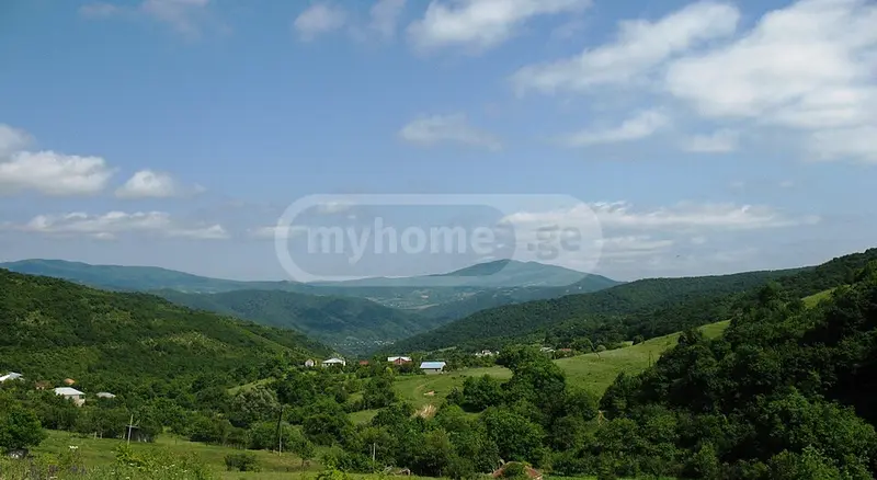 იყიდება Agricultural Plot In Dushetiში view 1