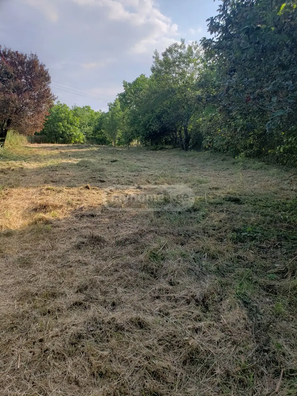 Agricultural Plot For Sale In Signagi view 2