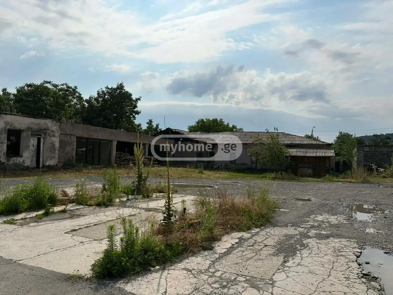 Universal Commercial Area For Sale In Lagodekhi view 7