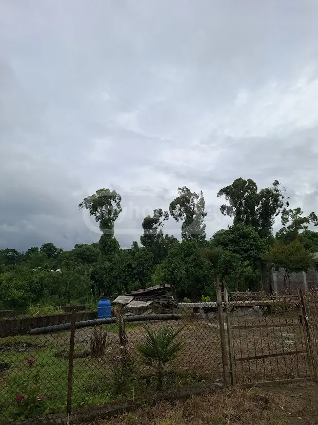 Agricultural Plot For Sale In Shekvetili, In Ozurgeti Municipality view 7
