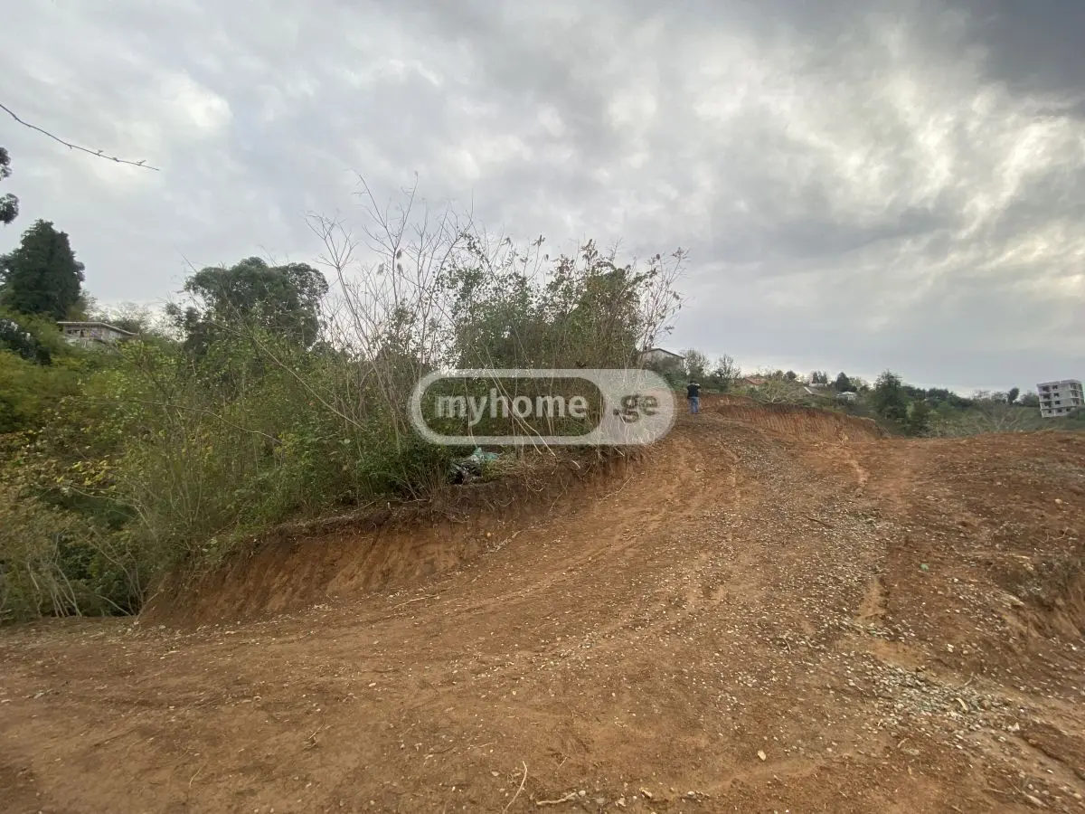 Agricultural Plot For Sale In Khelvachauri view 4