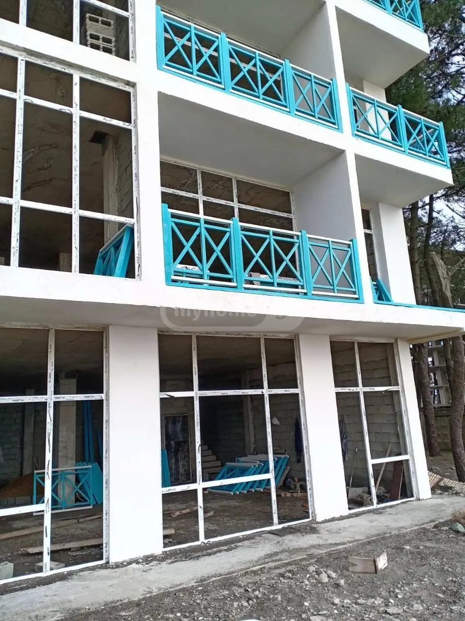 10+ Room Private House For Sale In Grigoleti, In Lanchkhuti Municipality view 10