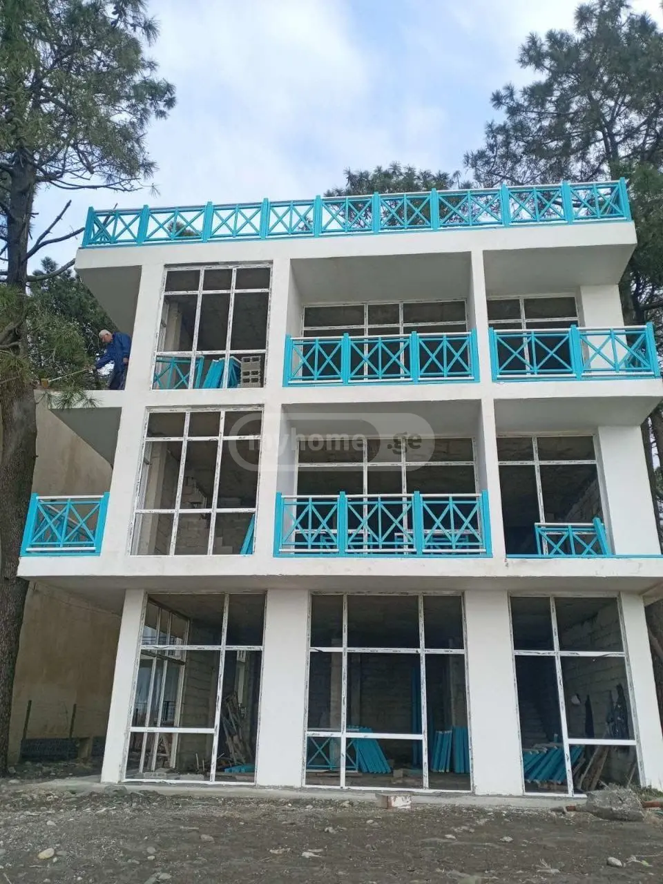 10+ Room Private House For Sale In Grigoleti, In Lanchkhuti Municipality view 9
