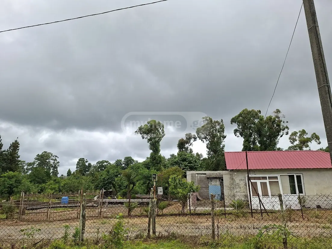 Agricultural Plot For Sale In Shekvetili, In Ozurgeti Municipality view 11