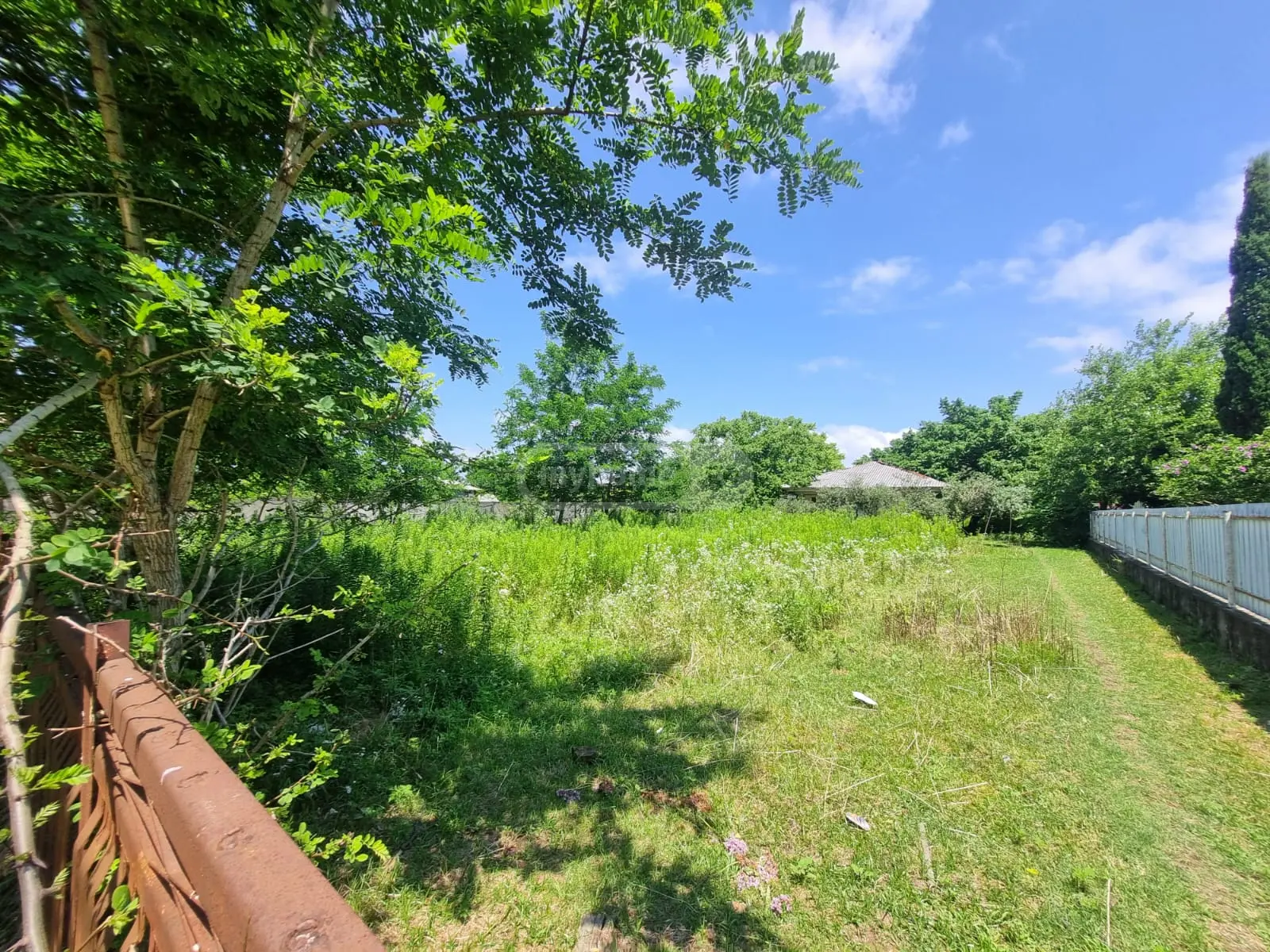 Non-Agricultural Plot For Sale In Foti view 2