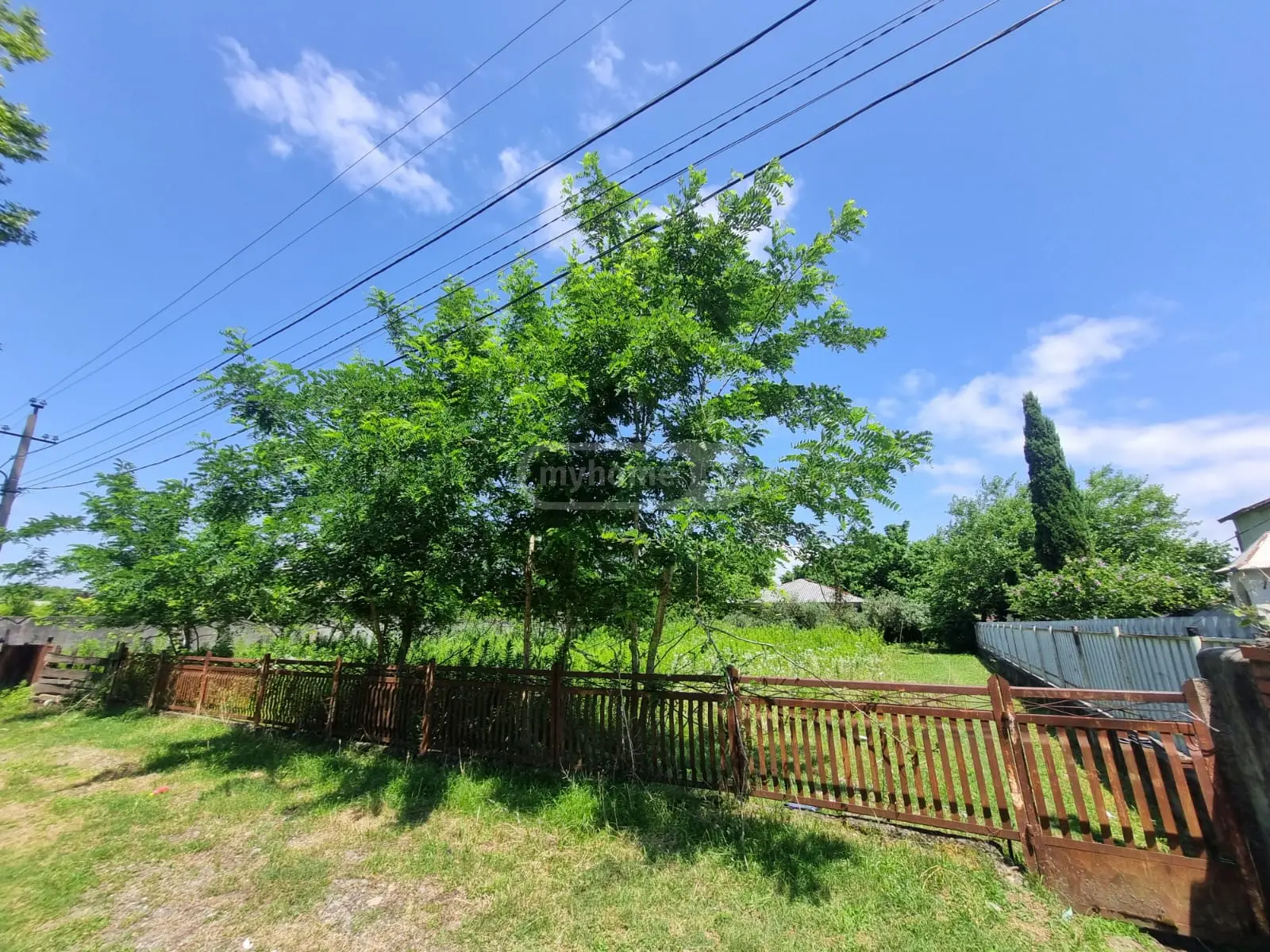 Non-Agricultural Plot For Sale In Foti view 4