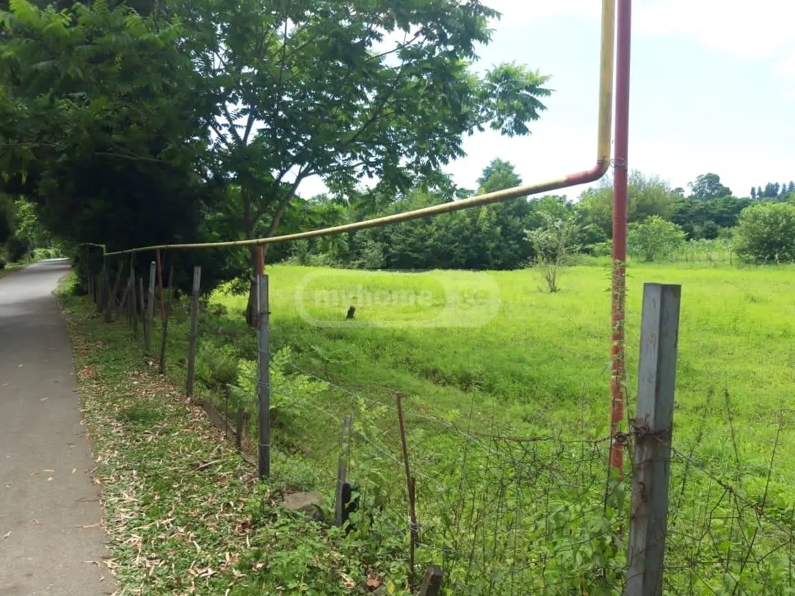 Non-Agricultural Plot For Sale In Chaqvi, In Kobuleti Municipality view 10